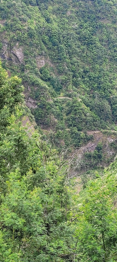 Levada Nova — From Covas to the end ('newly built section', condition in 2022) — photo 5