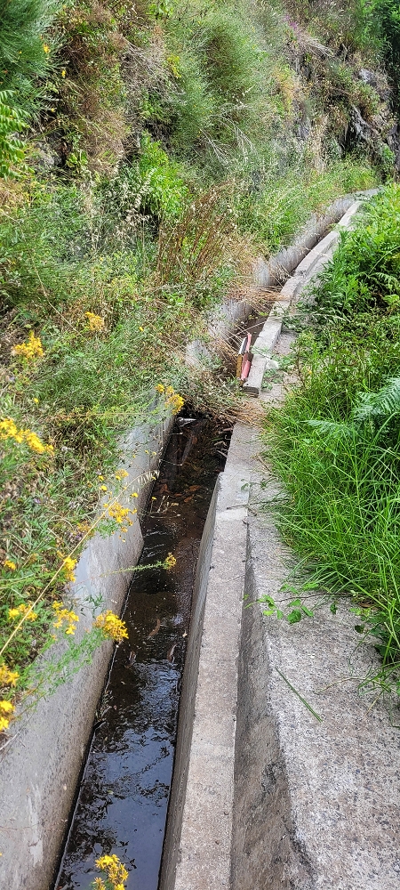 Levada Nova — From Covas to the end ('newly built section', condition in 2022) — photo 6