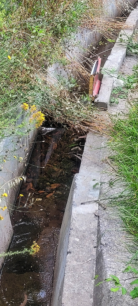 Levada Nova — From Covas to the end ('newly built section', condition in 2022) — photo 7