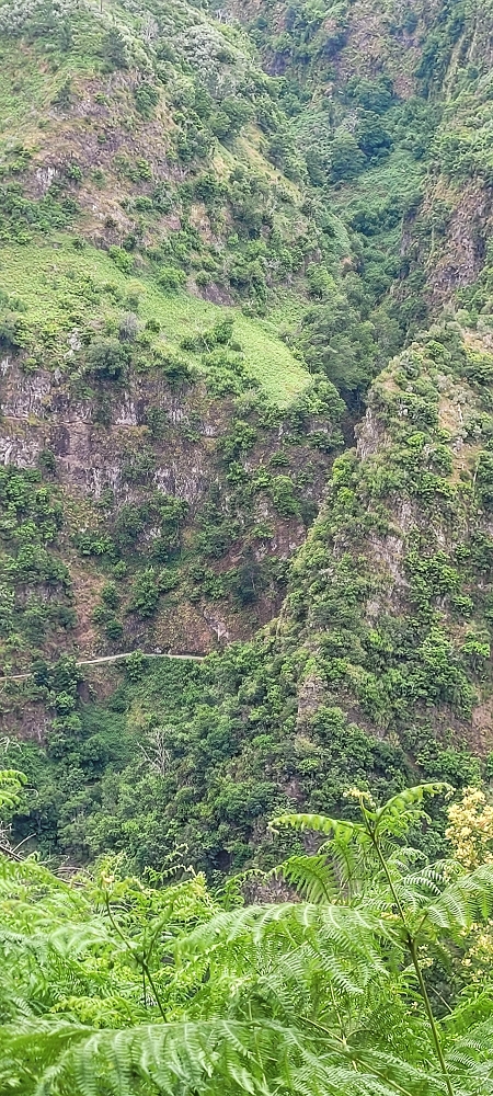 Levada Nova — From Covas to the end ('newly built section', condition in 2022) — photo 8