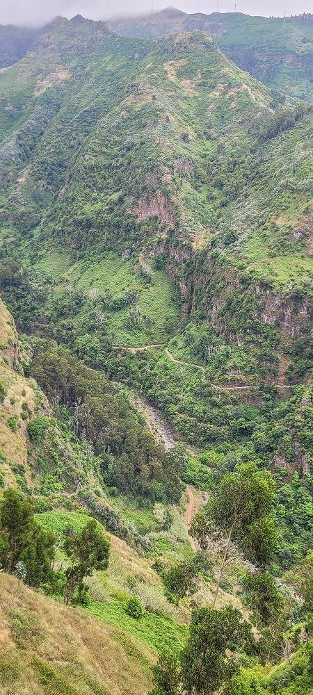 Levada Nova — From Covas to the end ('newly built section', condition in 2022) — photo 10