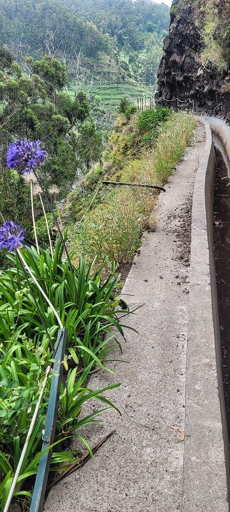 Levada Nova — From Covas to the end ('newly built section', condition in 2022) — photo 11