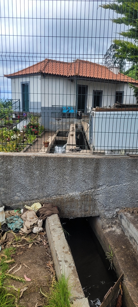 Levada Nova — From Covas to the end ('newly built section', condition in 2022) — photo 13