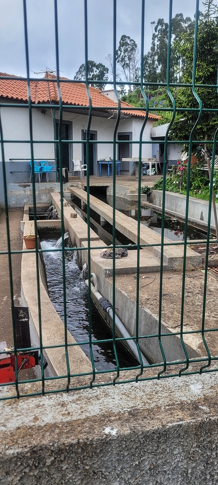 Levada Nova — From Covas to the end ('newly built section', condition in 2022) — photo 15