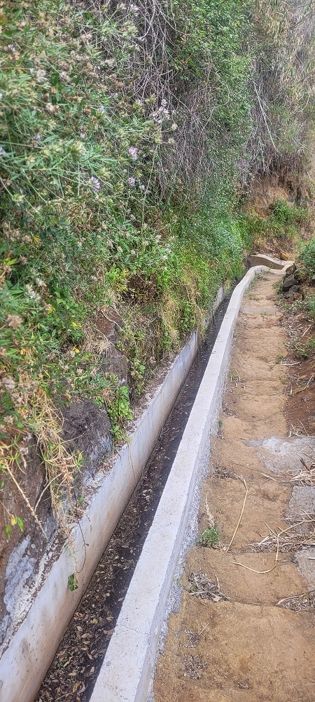 27.06.2022 Bananenwanderung rund um Madalena do Mar — Die kuriose Seilbahn und der Abstieg zur Talstation — Foto 6
