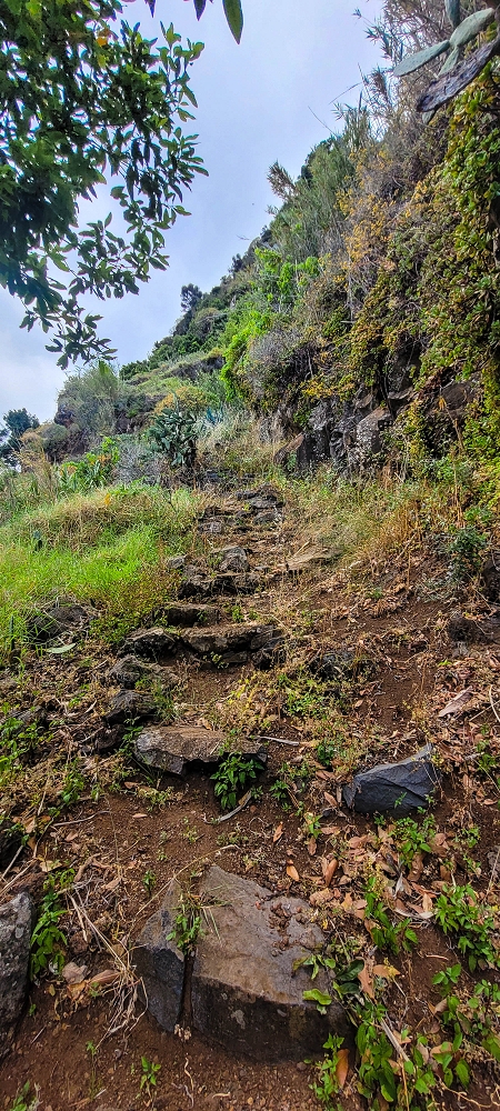 27.06.2022 Bananenwanderung rund um Madalena do Mar — Aufstieg durch die Bananen auf der Vereda dos Lombos — Foto 7
