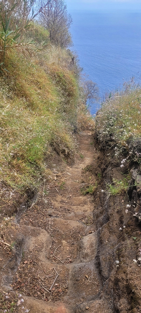 27.06.2022 Bananenwanderung rund um Madalena do Mar — Die kuriose Seilbahn und der Abstieg zur Talstation — Foto 7