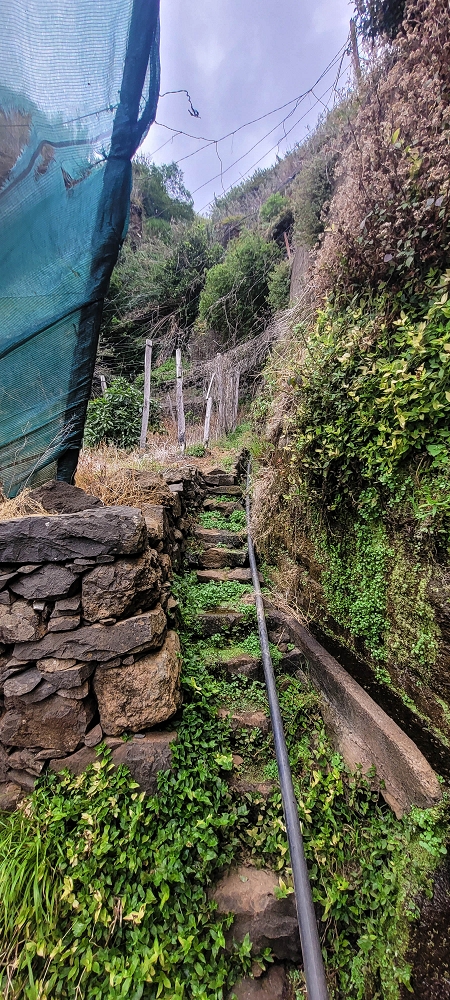 27.06.2022 Bananenwanderung rund um Madalena do Mar — Die kuriose Seilbahn und der Abstieg zur Talstation — Foto 10