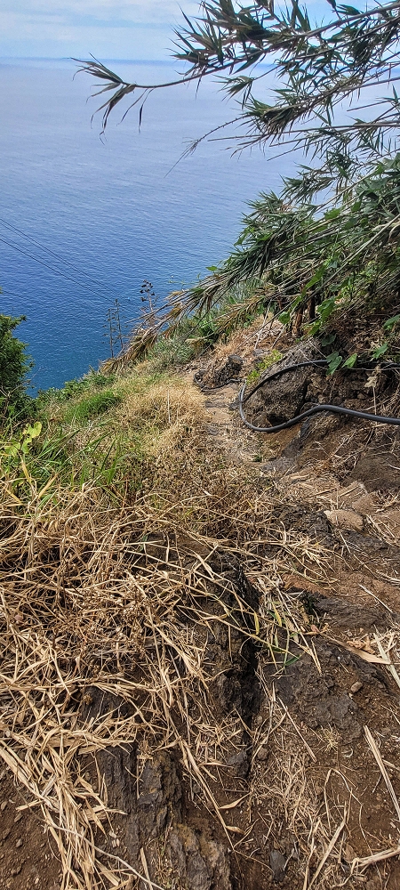 27.06.2022 Bananenwanderung rund um Madalena do Mar — Die kuriose Seilbahn und der Abstieg zur Talstation — Foto 14