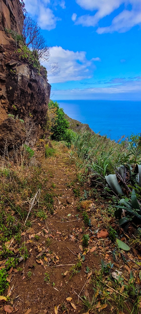 27.06.2022 Bananenwanderung rund um Madalena do Mar — Aufstieg durch die Bananen auf der Vereda dos Lombos — Foto 8