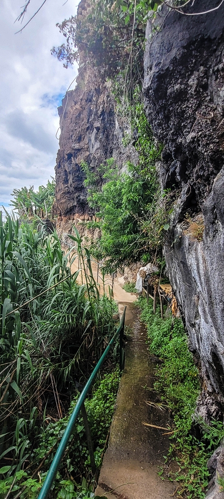 27.06.2022 Bananenwanderung rund um Madalena do Mar — Horizontal durch die Bananenterrassen — Foto 7