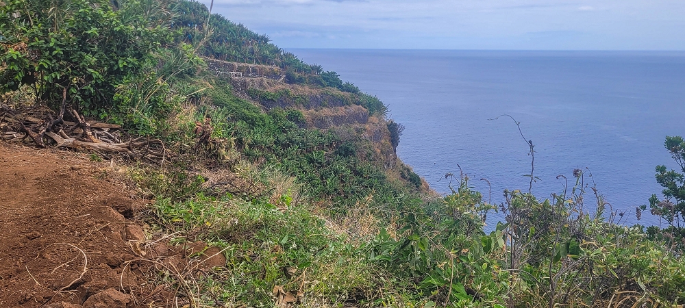 27.06.2022 Bananenwanderung rund um Madalena do Mar — Horizontal durch die Bananenterrassen — Foto 12