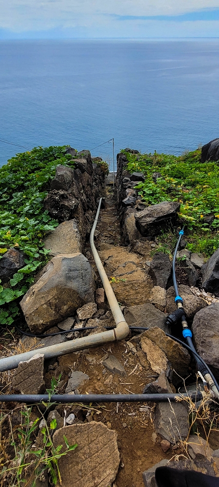 27.06.2022 Bananenwanderung rund um Madalena do Mar — Abstieg nach Madalena do Mar — Foto 4