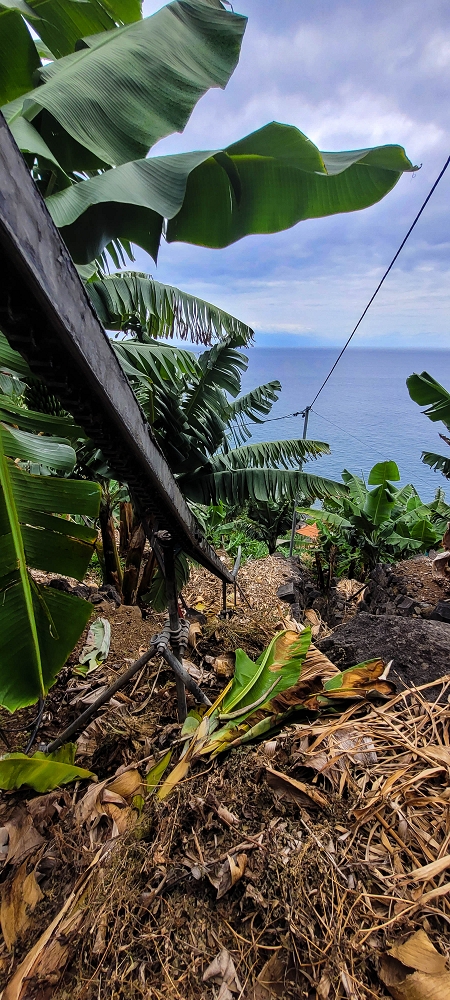 27.06.2022 Bananenwanderung rund um Madalena do Mar — Abstieg nach Madalena do Mar — Foto 6
