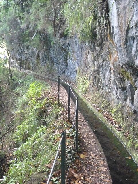 27.07.2014 Faja do Penedo Chamine Levada do Rei Sao Jorge — On the Levada do Rei — photo 30