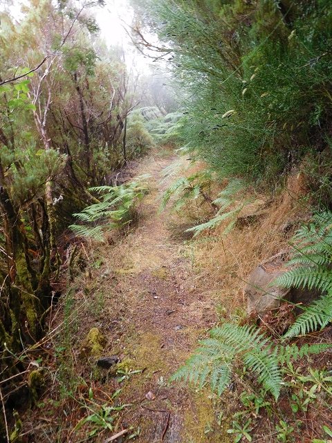 27.07.27.2015 Levada do Norte — photo 1