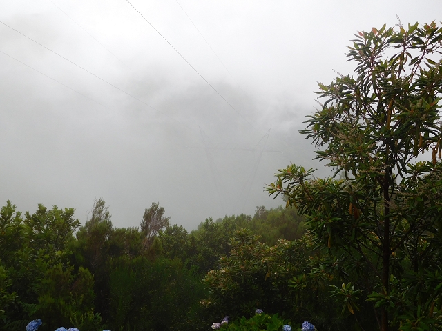 27.07.27.2015 Levada do Norte — photo 2