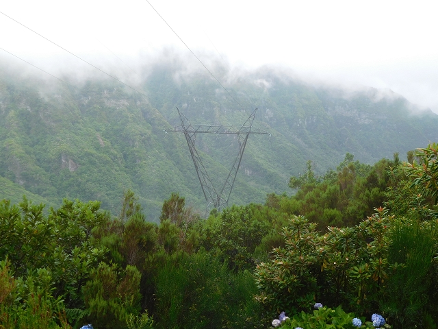 27.07.27.2015 Levada do Norte — photo 3