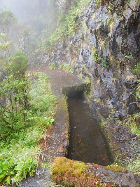 27.07.27.2015 Levada do Norte — photo 4