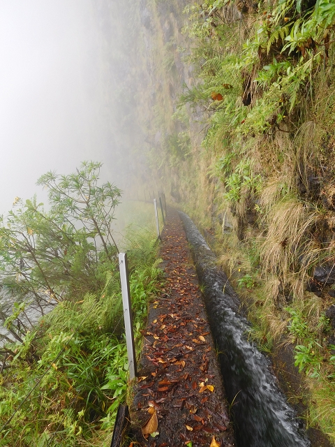 27.07.27.2015 Levada do Norte — photo 5