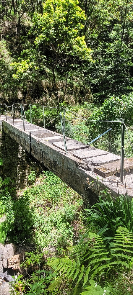 28 June 2022 Meditating at one of my favourite places — To the middle crossing — photo 2