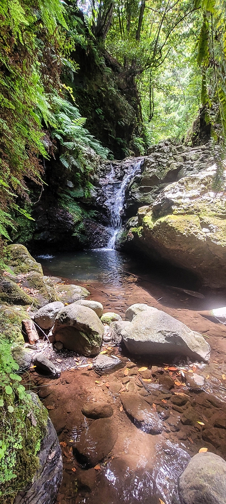 28 June 2022 Meditating at one of my favourite places — To the middle crossing — photo 4