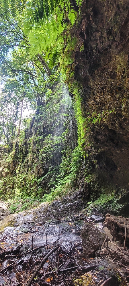 28 June 2022 Meditating at one of my favourite places — To the middle crossing — photo 5