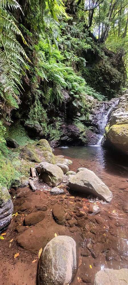 28 June 2022 Meditating at one of my favourite places — To the middle crossing — photo 6