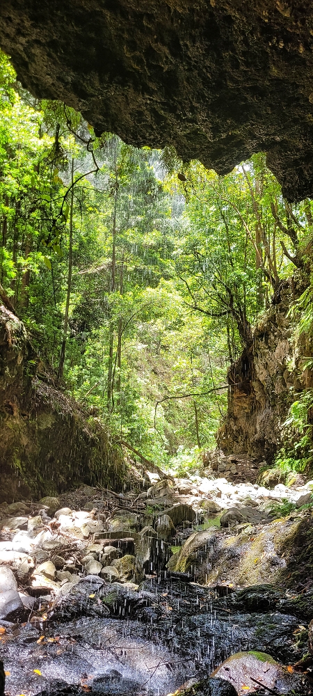 28 June 2022 Meditating at one of my favourite places — To the middle crossing — photo 8