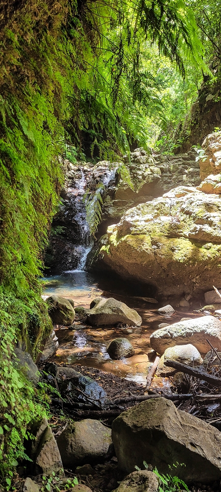 28 June 2022 Meditating at one of my favourite places — To the middle crossing — photo 9