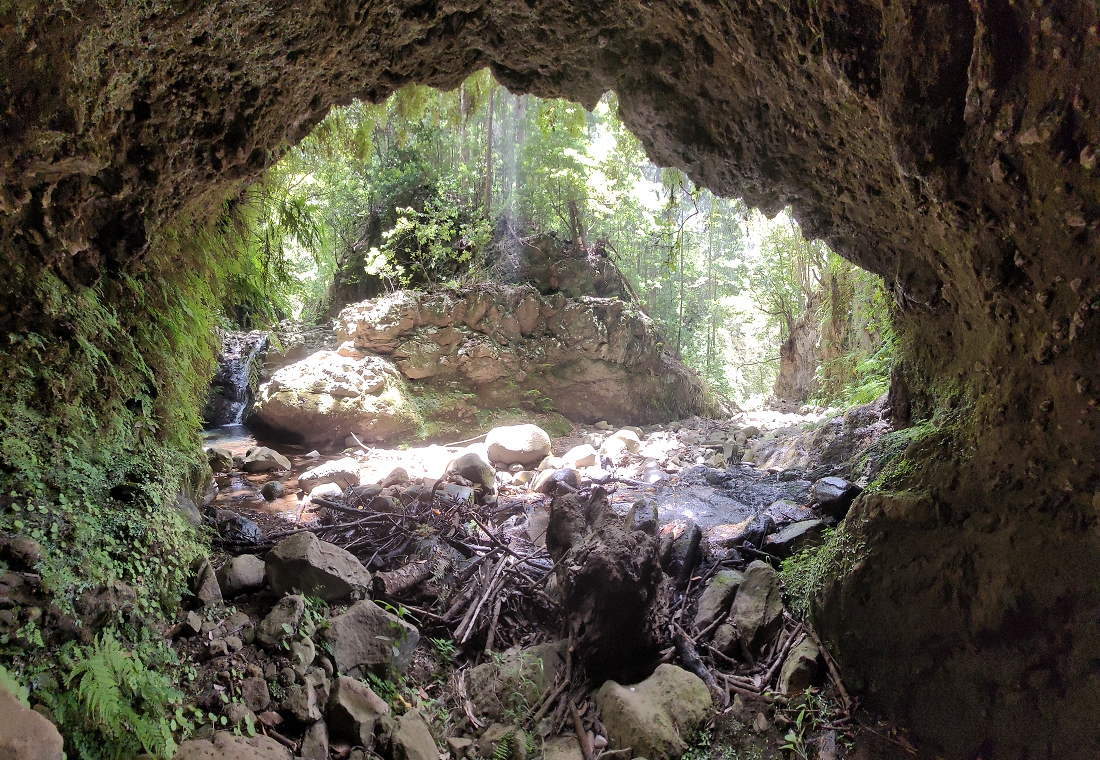28 June 2022 Meditating at one of my favourite places — My safe place — photo 1