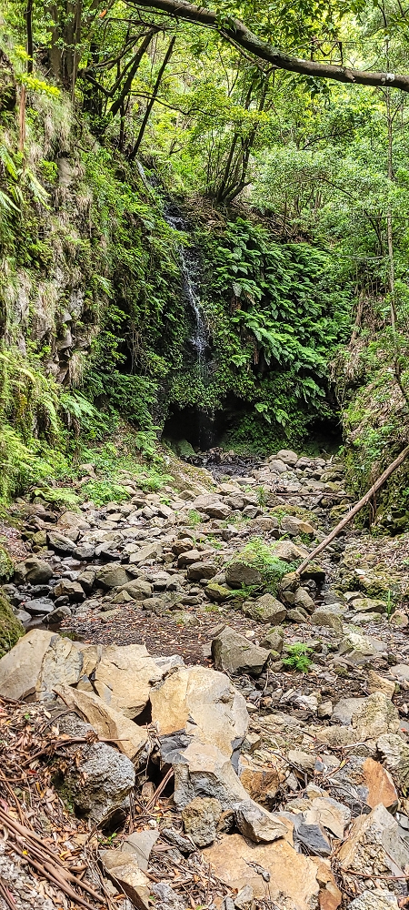 28 June 2022 Meditating at one of my favourite places — To the middle crossing — photo 3
