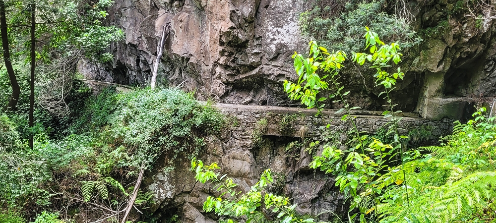 28 June 2022 Meditating at one of my favourite places — To the western crossing — photo 3