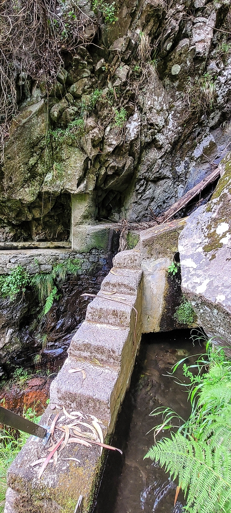 28 June 2022 Meditating at one of my favourite places — To the western crossing — photo 4