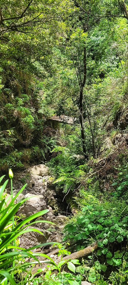 28 June 2022 Meditating at one of my favourite places — To the western crossing — photo 7