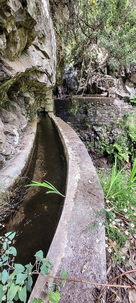 28 June 2022 Meditating at one of my favourite places — To the western crossing — photo 9