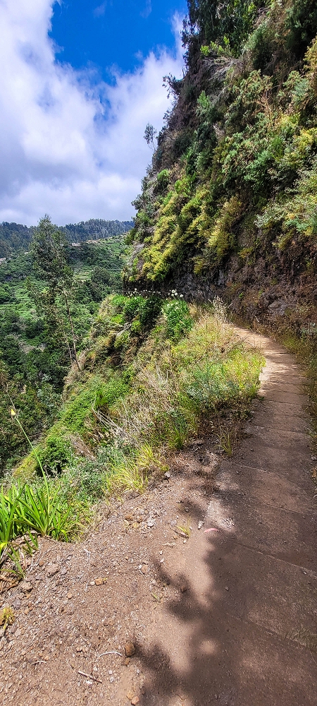 28 June 2022 Meditating at one of my favourite places — On the way to the stream crossings — photo 3