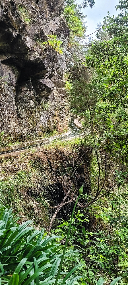 28 June 2022 Meditating at one of my favourite places — To the western crossing — photo 16