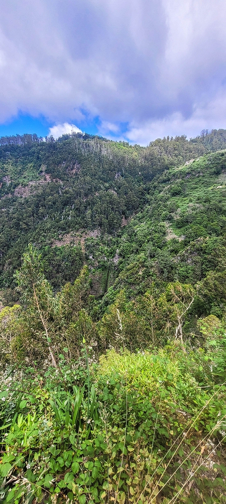 28 June 2022 Meditating at one of my favourite places — On the way to the stream crossings — photo 5