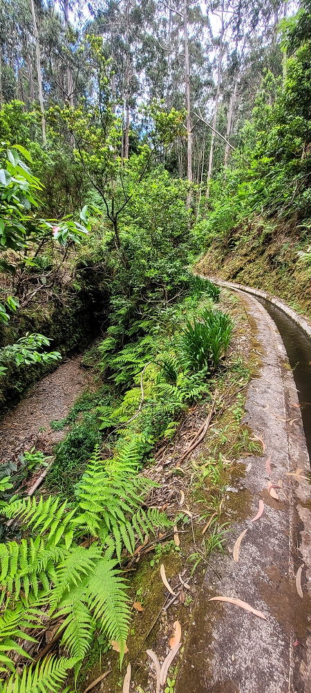 28 June 2022 Meditating at one of my favourite places — On the way to the stream crossings — photo 6