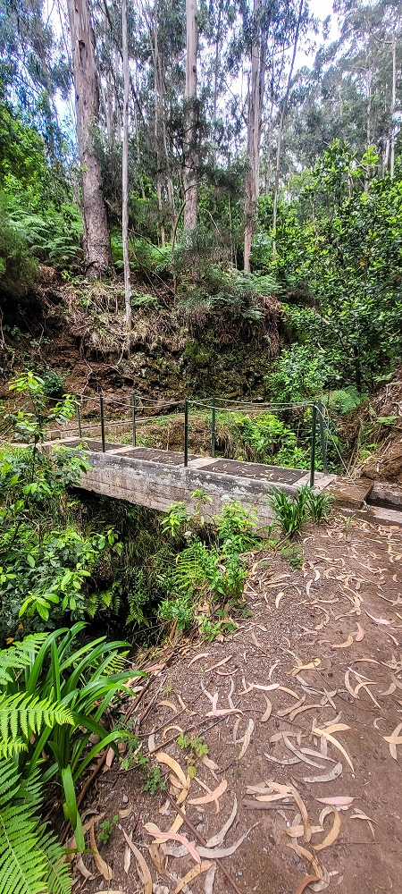 28 June 2022 Meditating at one of my favourite places — On the way to the stream crossings — photo 7