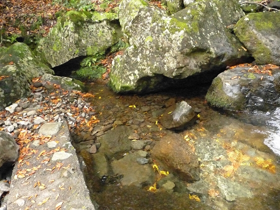 28 July 2013, afternoon, Levada dos Cedros — The Madre and surroundings — photo 4