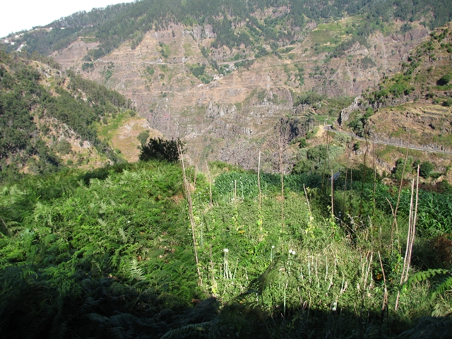 28 de julho de 2015 Levada do Boqueirao e Espigao — Espigao e Levada da Boqueirao — foto 18