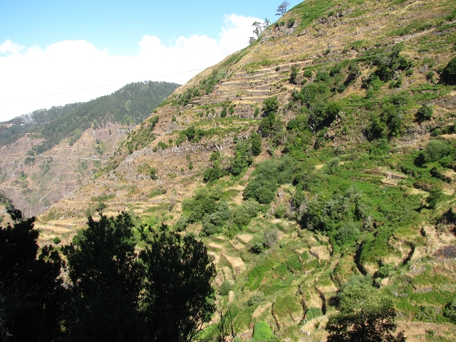 28 de julho de 2015 Levada do Boqueirao e Espigao — Espigao e Levada da Boqueirao — foto 23