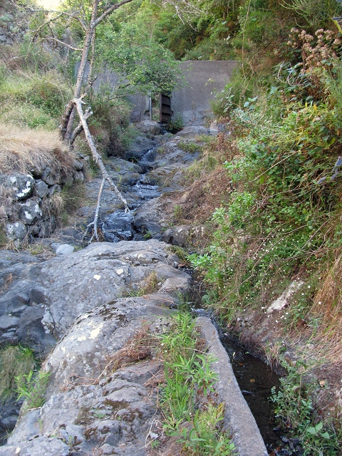 28 de julho de 2015 Levada do Boqueirao e Espigao — Espigao e Levada da Boqueirao — foto 26