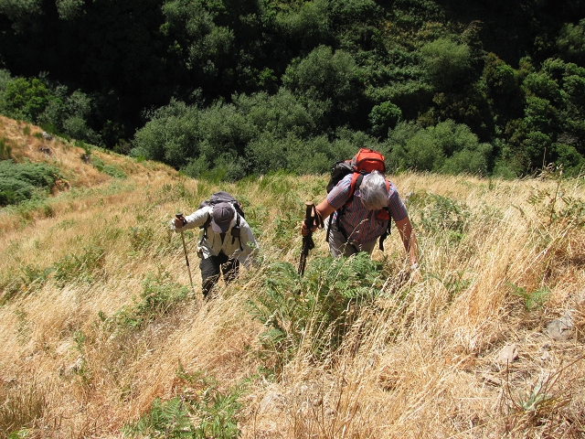 28 de julho de 2015 Levada do Boqueirao e Espigao — No caminho de gravilha até ao Pico da Cruz — foto 2