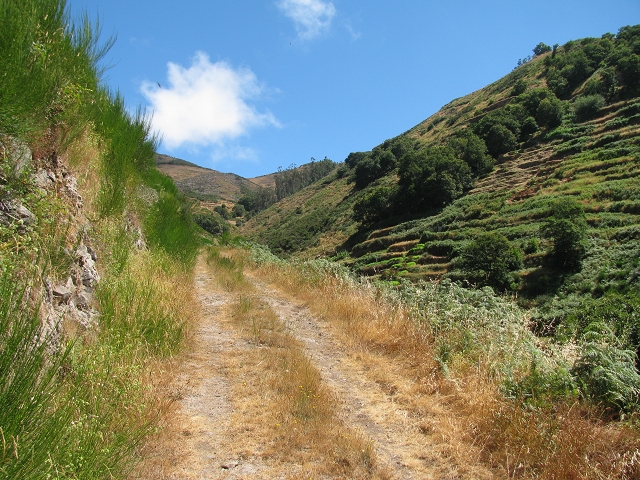 28 de julho de 2015 Levada do Boqueirao e Espigao — No caminho de gravilha até ao Pico da Cruz — foto 5