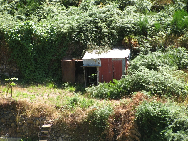 28 de julho de 2015 Levada do Boqueirao e Espigao — No caminho de gravilha até ao Pico da Cruz — foto 6
