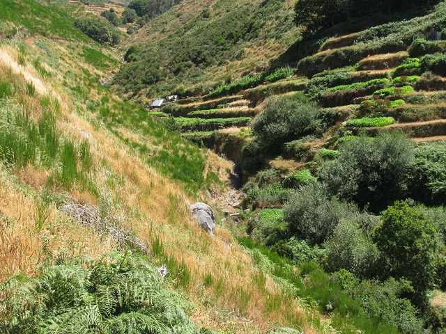 28 de julho de 2015 Levada do Boqueirao e Espigao — No caminho de gravilha até ao Pico da Cruz — foto 7
