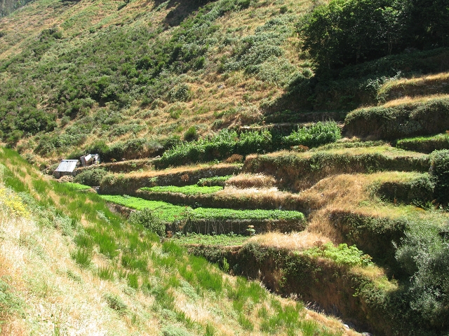 28 de julho de 2015 Levada do Boqueirao e Espigao — No caminho de gravilha até ao Pico da Cruz — foto 9